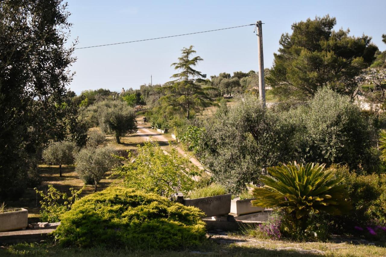 Terre D'Amore - For Couples Hotell Ostuni Exteriör bild