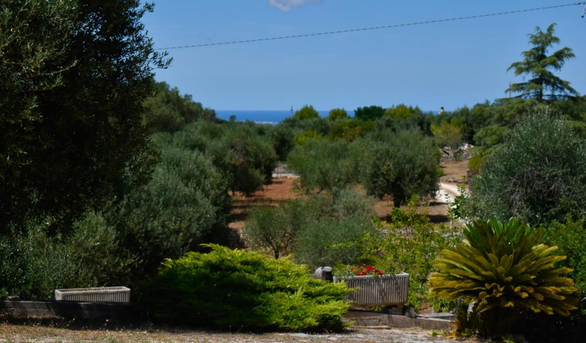 Terre D'Amore - For Couples Hotell Ostuni Exteriör bild