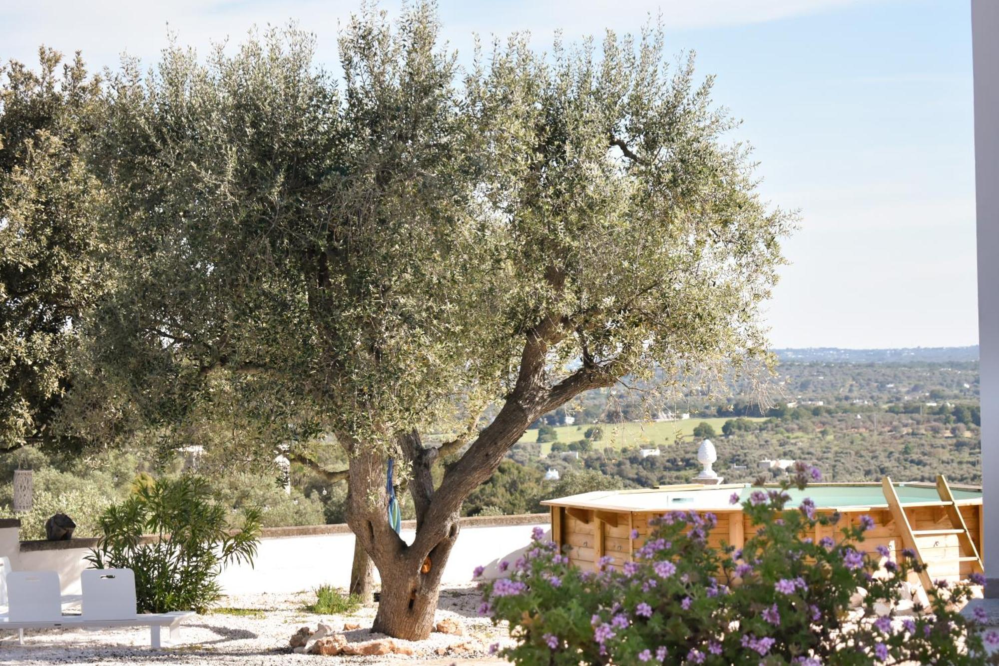 Terre D'Amore - For Couples Hotell Ostuni Exteriör bild