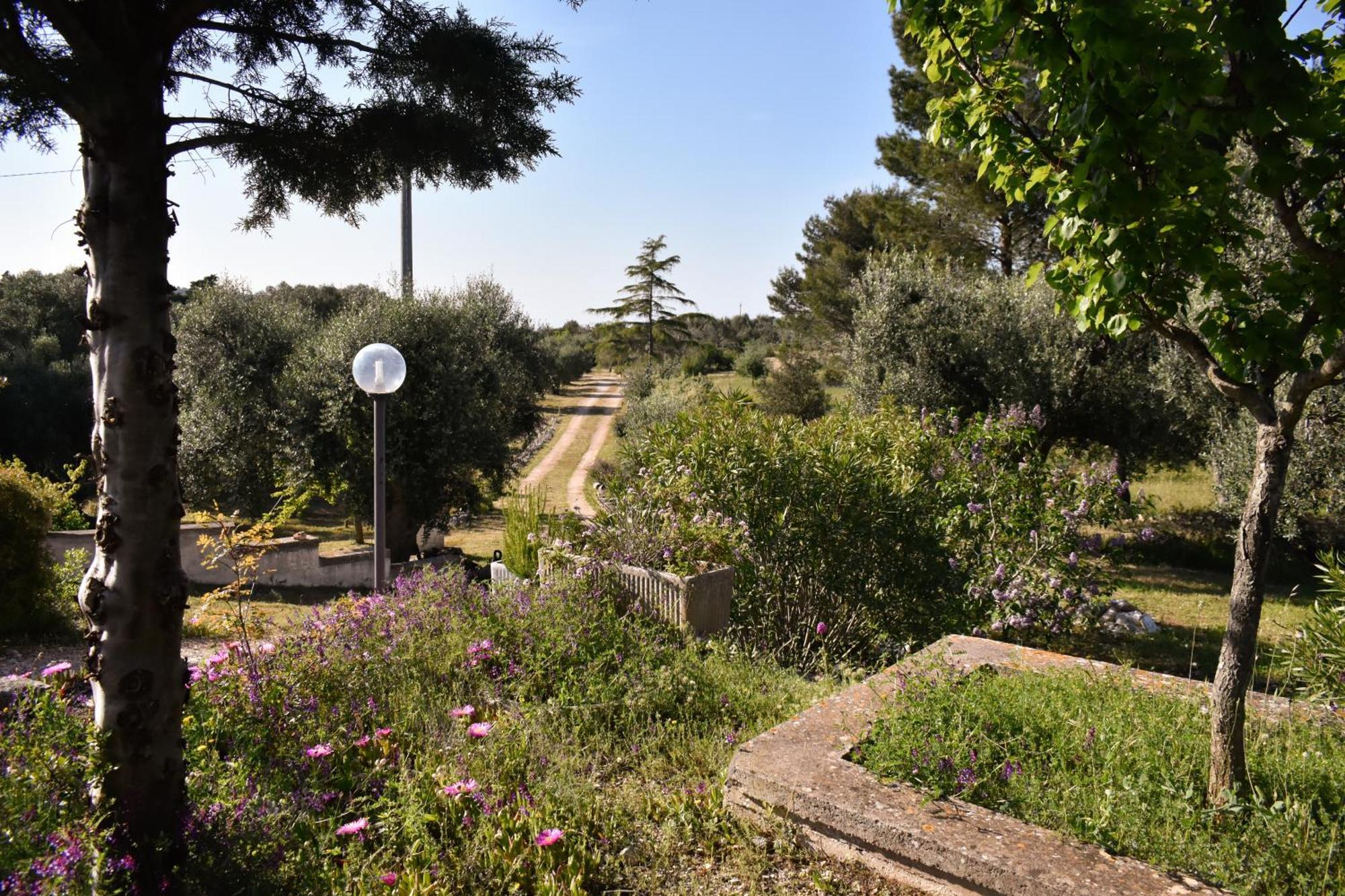 Terre D'Amore - For Couples Hotell Ostuni Exteriör bild